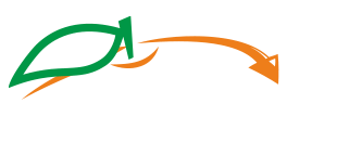 Italy Trade